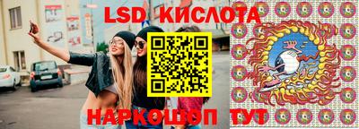 крисы Кимры
