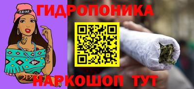 крисы Кимры
