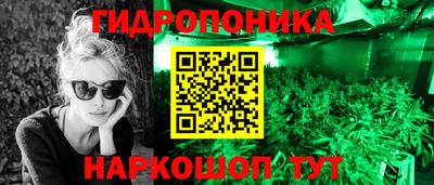 крисы Кимры