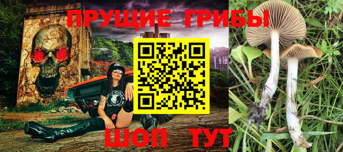 Коряжма  Псилоцибиновые грибы Magic Shrooms  Вход с VPN  Галлюциногенные грибы мицелий 